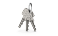 GERDA_SLR_klucze_3.png